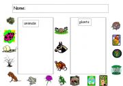 English worksheet: Plants & Animals