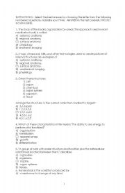 English Worksheet: anatomy and physiology 