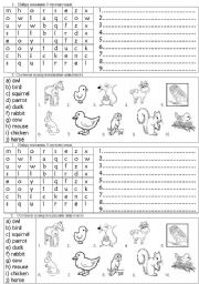 English Worksheet: animals