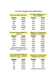 English worksheet: rules of singular and plurals