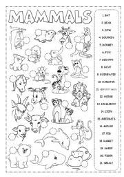 English Worksheet: Mammals Picrionary