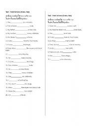 English Worksheet: Verb to have
