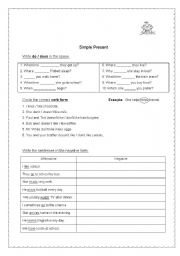 English Worksheet: Simple Present