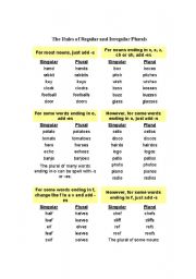 English Worksheet: singular and plurals