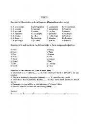 English Worksheet: test