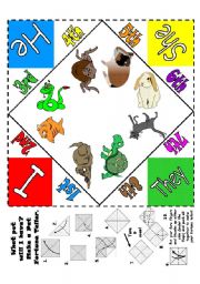 English Worksheet: Practise Pets and Have - Make an Origami Fortune Teller!