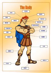 The Human Body-Hercules