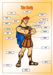 English Worksheet: The Human Body-Hercules