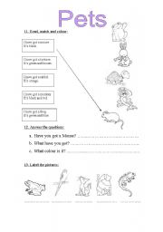 English worksheet: Pets