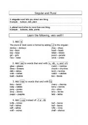 English worksheet: Singular and Plural