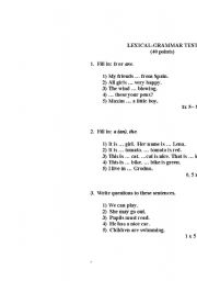 English worksheet: Lexical-grammar test