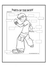 English Worksheet: BODY