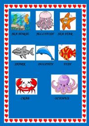 English Worksheet: SEA ANIMALS