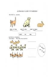 English worksheet: Animals and numbers