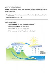 English Worksheet: water cycle