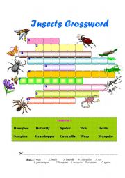 English Worksheet: Insects Crossword