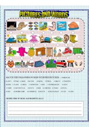 English Worksheet: PICTURES AND WORDS 