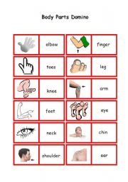 English Worksheet: Body Parts Domino