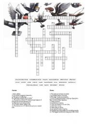 Business Vocab Crossword