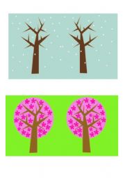 4 seasons flashcards