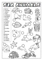 SEA ANIMALS WORKSHEET/PICTIONARY