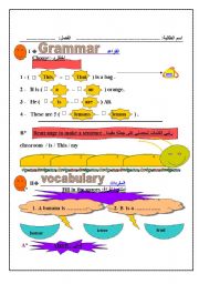 English Worksheet: test for grade three