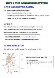 THE LOCOMOTOR SYSTEM