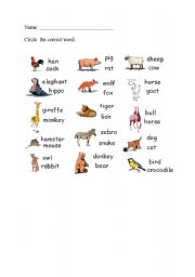 English worksheet: animals