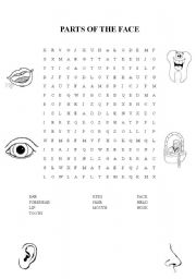 English Worksheet: PARTS OF THE FACE