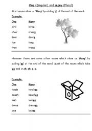 English worksheet: singular and Plural