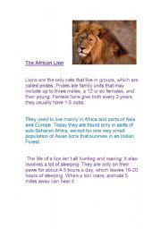 English worksheet: Reports- The African lion