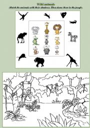 English Worksheet: Wild animals: match and draw!