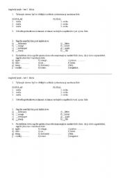 English worksheet: Test - Unit 1 New Headway elementary     Slovak instructions