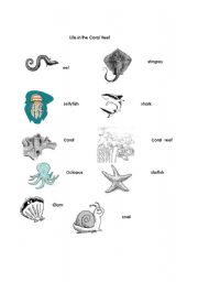 English worksheet: Life in Coral Reefs