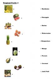 English worksheet: Tropical Fruits #1