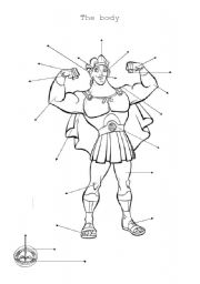 English worksheet: Hercules body