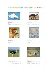 English worksheet: Animals