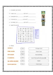 English worksheet: wild animals 