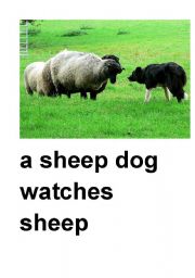 English Worksheet: farm flashcards