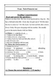 English Worksheet: reading  passage