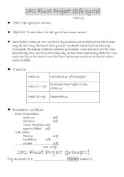 English worksheet: Life Cycle of animals