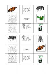 English worksheet: BINGO ANIMALS (SET OF 9 DIFFERENT COMBINATIONS)