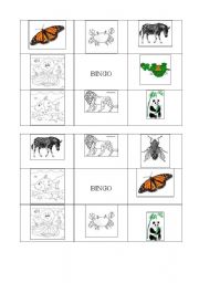 English Worksheet: BINGO ANIMALS (SET OF 9 DIFFERENT COMBINATIONS)