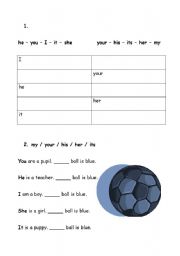 English worksheet: Possessive adjectives