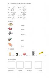 English worksheet: TEST colours,body,numbers