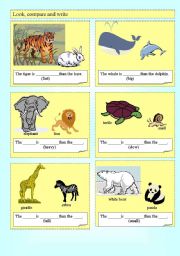 English Worksheet: Comparatives