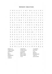 English worksheet: WORDSEARCH 