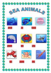 English Worksheet: sea animals