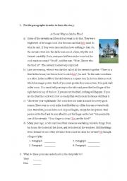 English Worksheet: a reading activity