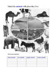 English worksheet: Animals